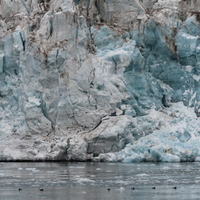 En vägg av is från Esmarkbreen-glaciären på Svalbard.