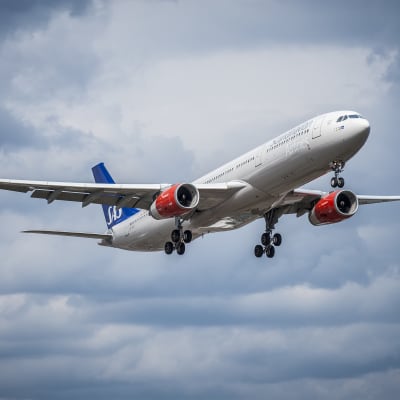 Ett SAS-flygplan som håller på att lyfta.