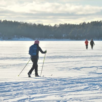 Människor som skidar och går på is med snö på.