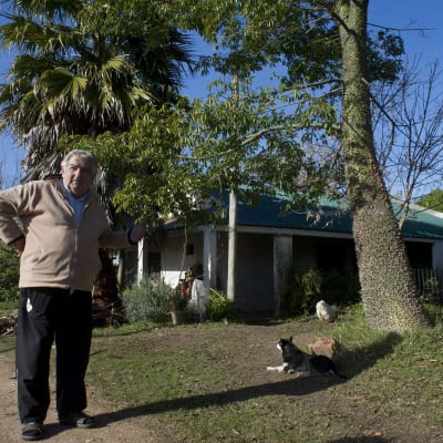 "Världens fattigaste president" José Mujica