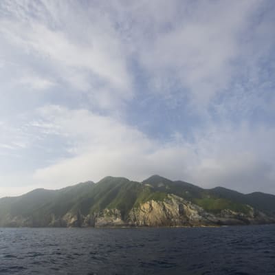 Den japanska ön Okinoshima.
