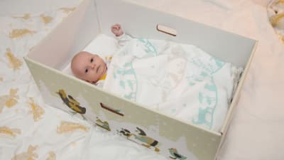 Baby vilar i den nya mammalådan 2015.