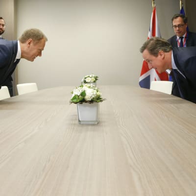 Europeiska rådets ordförande Donald Tusk och Storbritanniens premiärminister David Cameron.