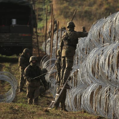 Soldater lägger upp stängsel vid polsk-ryska gränsen,.