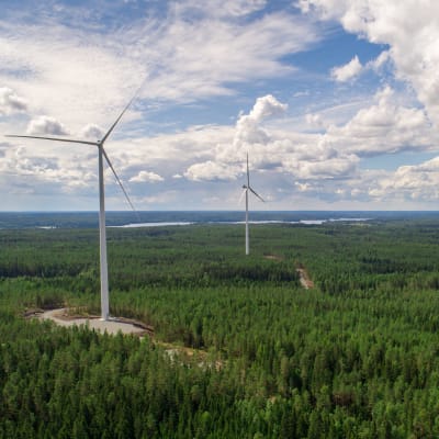 Tre vindkraftverk i ett skogslandskap. 