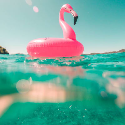 En uppblåsbar flamingo i vatten.