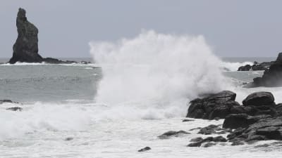 Stora vågor slår mot klipporna utanför staden Kagoshima i Japan.