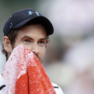 Andy Murray torkar sig i ansiktet.