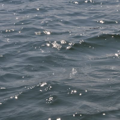 närbild på glittrande vågor på havet
