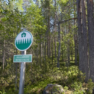 Oulujärvi - uusimmat sisällöt – 