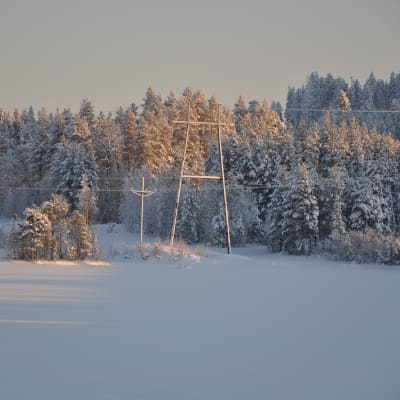 Luminen metsä, jonka laidassa on sähkölinja.