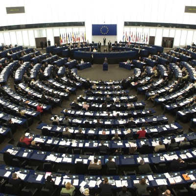 Europarlamentet i Strasbourg,