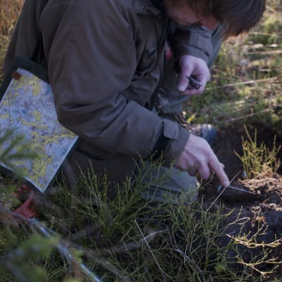 Arkeologer på jakt efter fornlämningar i Ingå skogar.