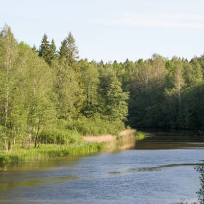 Svartån i Karis, längs med den byggs en frluftsled.