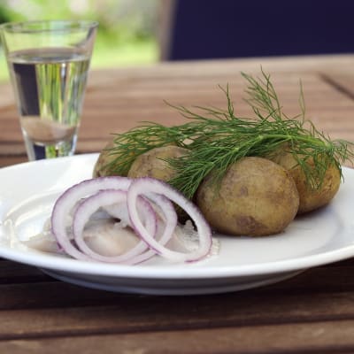 En vit tallrik med några potatisar, ett knippe dill och några bitar sill med lök står på ett utebord i trä. Ett glas med klar vätska står bakom tallriken.