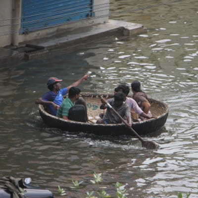 Indier flyr från översvämningarna i staden Chennai.