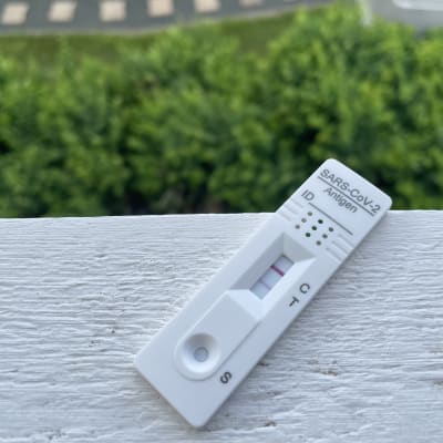 Ett coronatest med två streck, det vill säga positivt resultat.