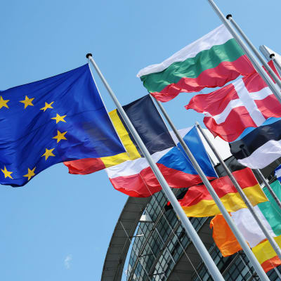 Flaggor från medlemsländerna i EU.