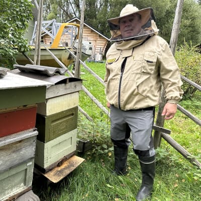 Oululainen mehiläistarhaaja Pertti Harmaala seisoo mehiläispesien vieressä mehiläishoitajan suojavarusteet yllään. 