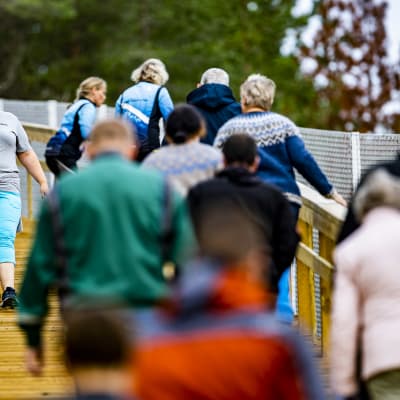 Hundbanans motionstrappa