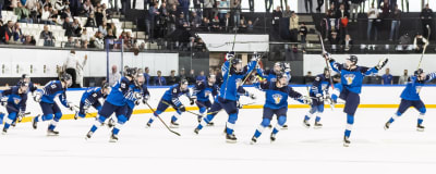 Finlands spelare firar segern.