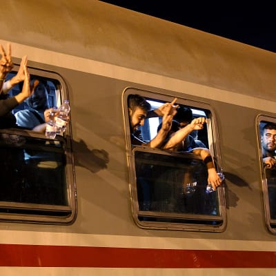 Flyktingar på tåg mot Ungern vid gränsen mellan Kroatien och Serbien.