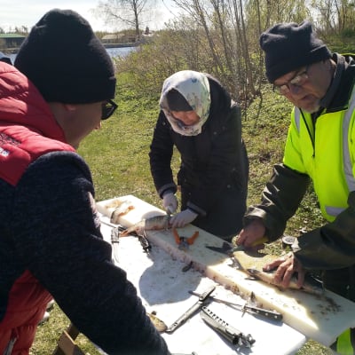 människor rensar fisk