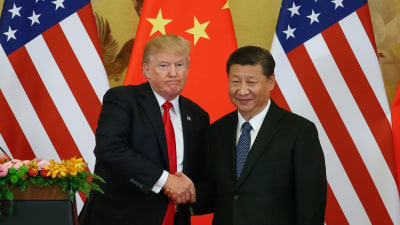 President Donald Trump och Kinas president Xi Jinping skakar hand under en presskonferens i Peking 9.11.2017.
