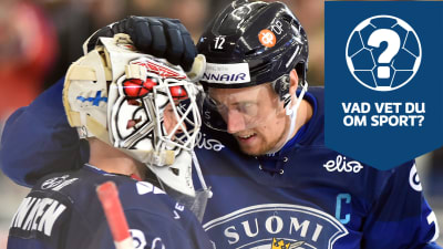 Finlands spelare firar på isen.