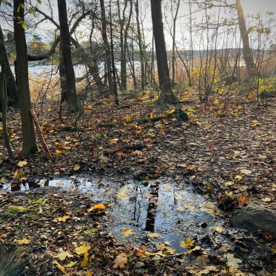 Alueelta löytynyt noro sijaitsee paikassa, johon on piirretty katu nimeltä Stansvikin rantakatu.