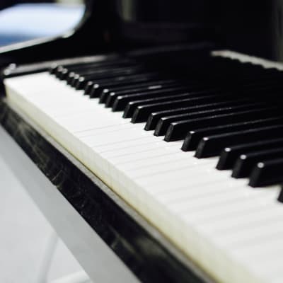 Flygels tangenter.