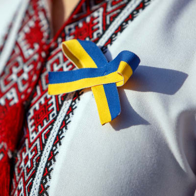 Ukrainan lipun värit ruusukkeessa.
