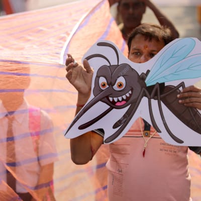 Aktivister protesterar i Kolkata i Indien mot myndigheternas brister i att skydda befolkningen mot malaria och dengue. Bilden är från november 2019.