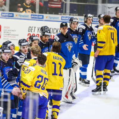Juniorlejonen och Juniorkronorna skakar hand med varandra.