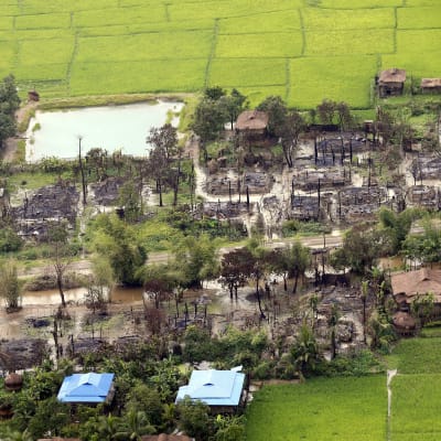 Den burmesiska armén anklagar militanta rohingyer för att ha massakrerat 45 hinduer och för att ha bränt deras by i Rakhine