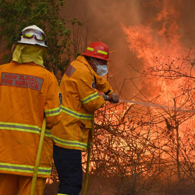 Brandmän kämpade mot lågorna intill en villa i Taree, 350 kilometer norr om Sydney på lördagen. 