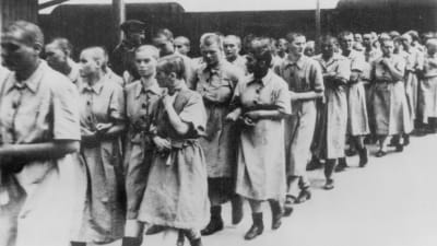 Auschwitzin keskitysleirivankeja marssimassa jonossa. Naisia.