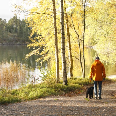 En man på promenad med sin hund längs en led invid en sjö