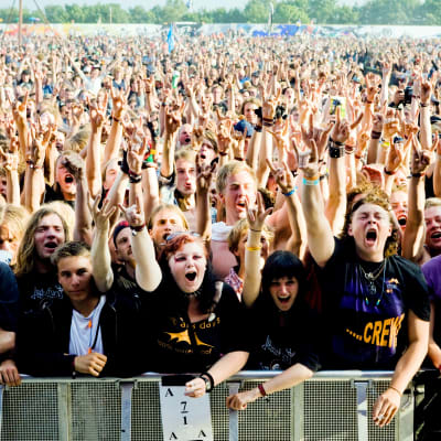 Roskilde festival