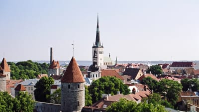 Vy över gamla stan i Tallinn från Domberget (Toompea)