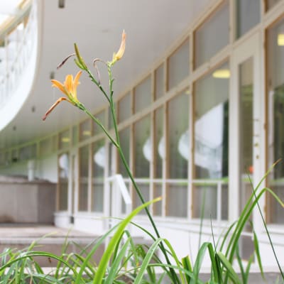 Tölö bibliotek