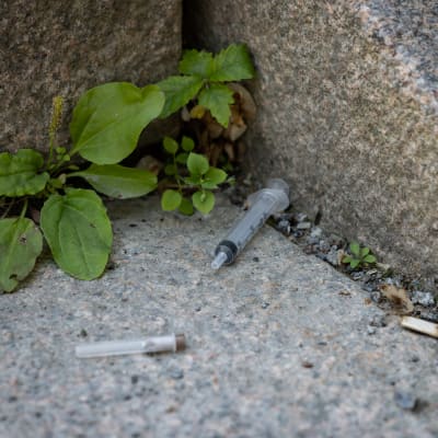 Huumeruiskuja maassa graniittisella portaalla.