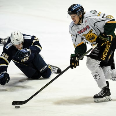 Ville Meskanen gjorde ett av målen när hans Ilves slog HPK i A-juniorernas avgörande semifinal. Nu väntar, precis som på bilden, Esbolaget Blues i finalen.