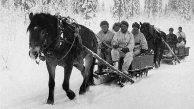 En häst drar en släde med soldater i vinterkriget.