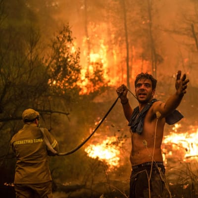 En person står och håller i en tom slang framför en skogsbrand.