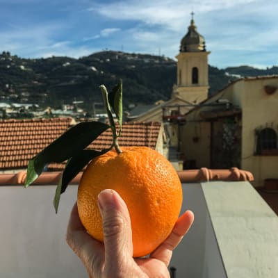 En hand håller upp en grann apelsin. I bakgrunden syns hustak och ett torn.