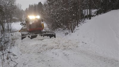 Bandtraktor plogar snö för skidspår.