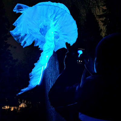 Magdalena Radziszewskan toteuttama Jellyfish-valoteos Oulun Lumo-taidefestivaaleilla marraskuussa 2019.