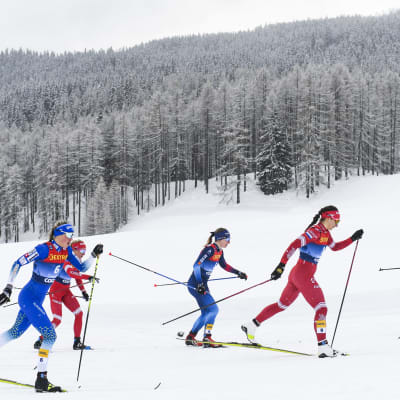 Damåkare tävlar i Tour de Ski.