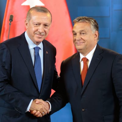 Turkiets president Recep Tayyip Erdoğan skakar hand med Ungerns premiärminister Viktor Orbán.